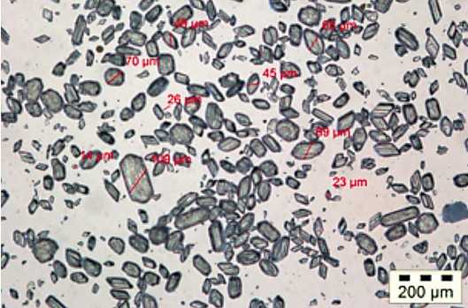 FS_Process Filtration_Suspension properties